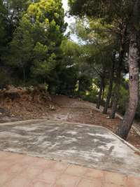 Foto 8
