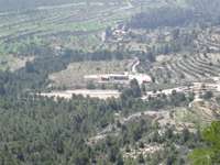 Фото 3