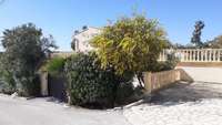 Foto 51
